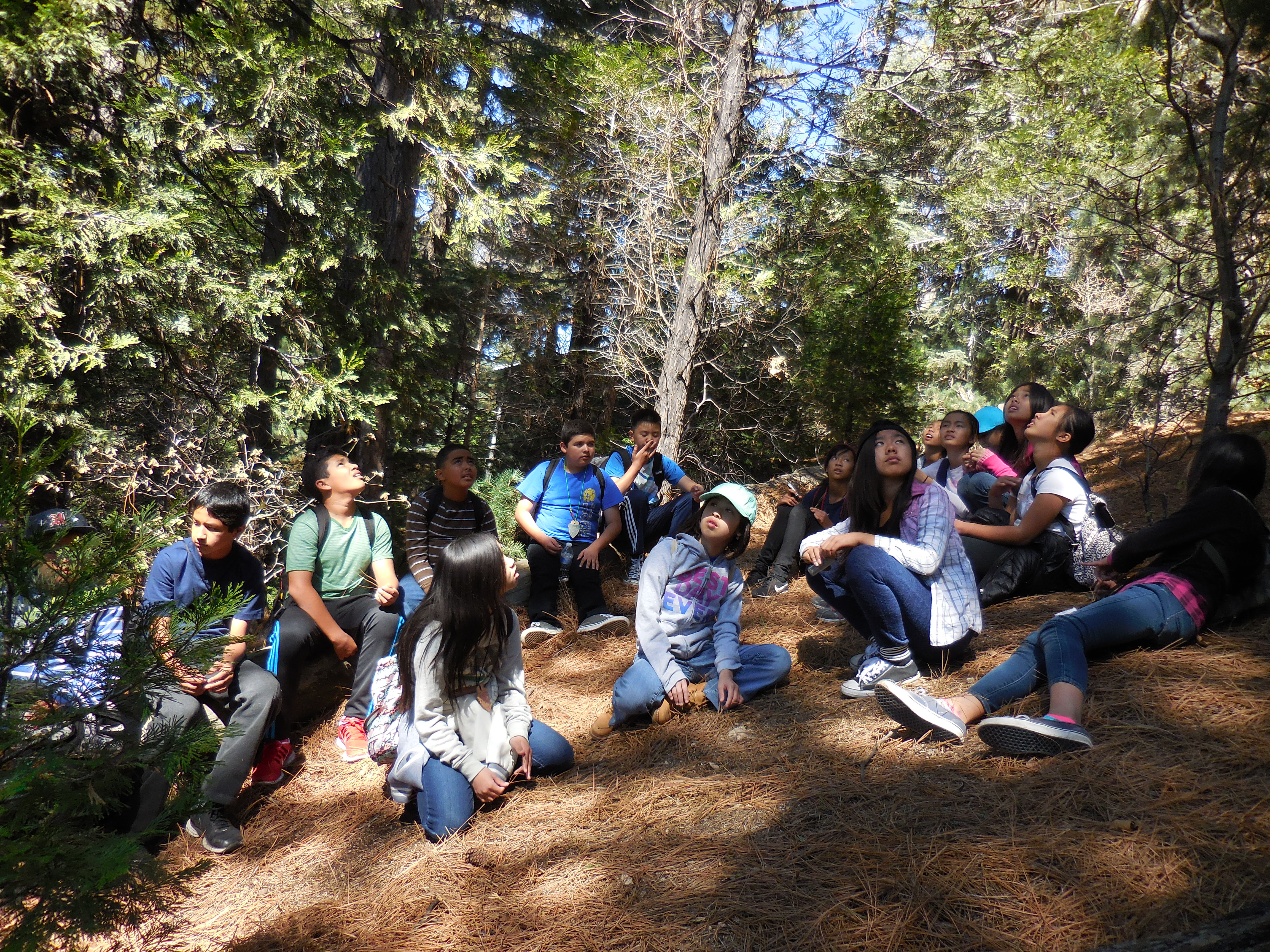 Students first-handedly experience nature out in the open.