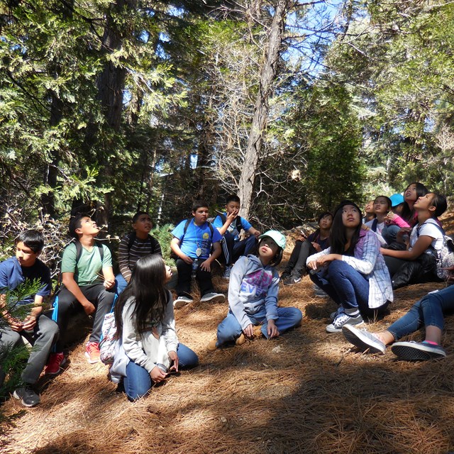 Students first-handedly experience nature out in the open.