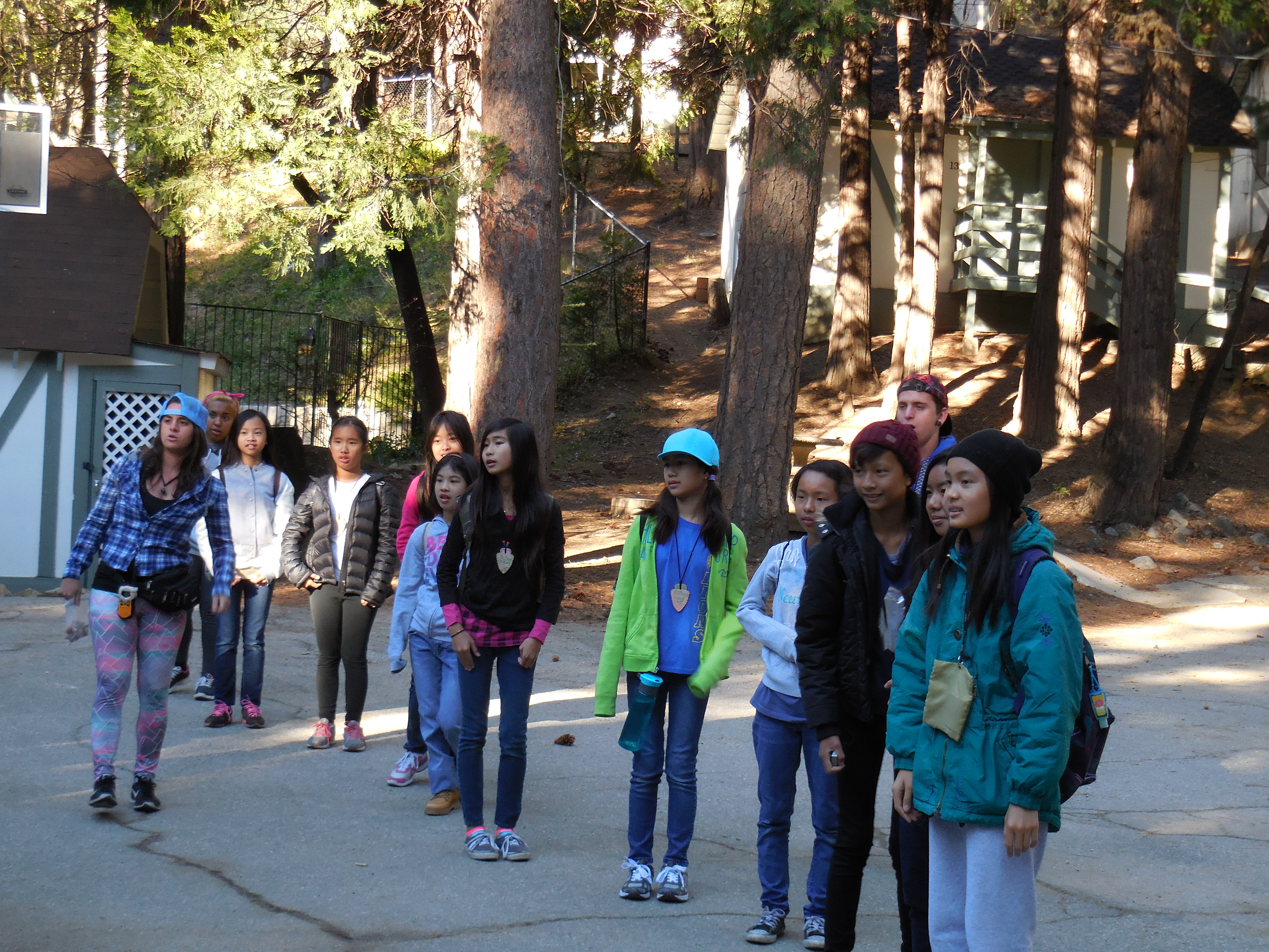 These lovely Lions stand back to acquire knowledge about plants in the wild.