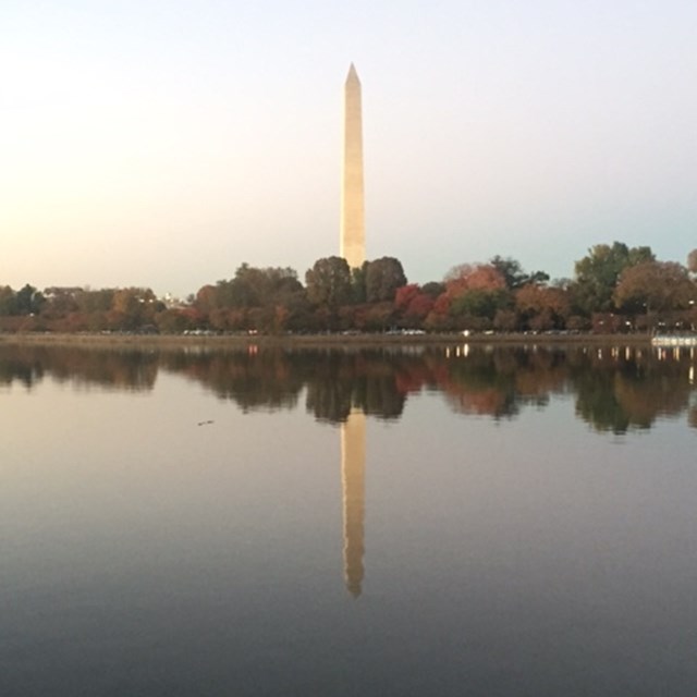 The Washington Monument's reflection in the water captures the hearts of many.
