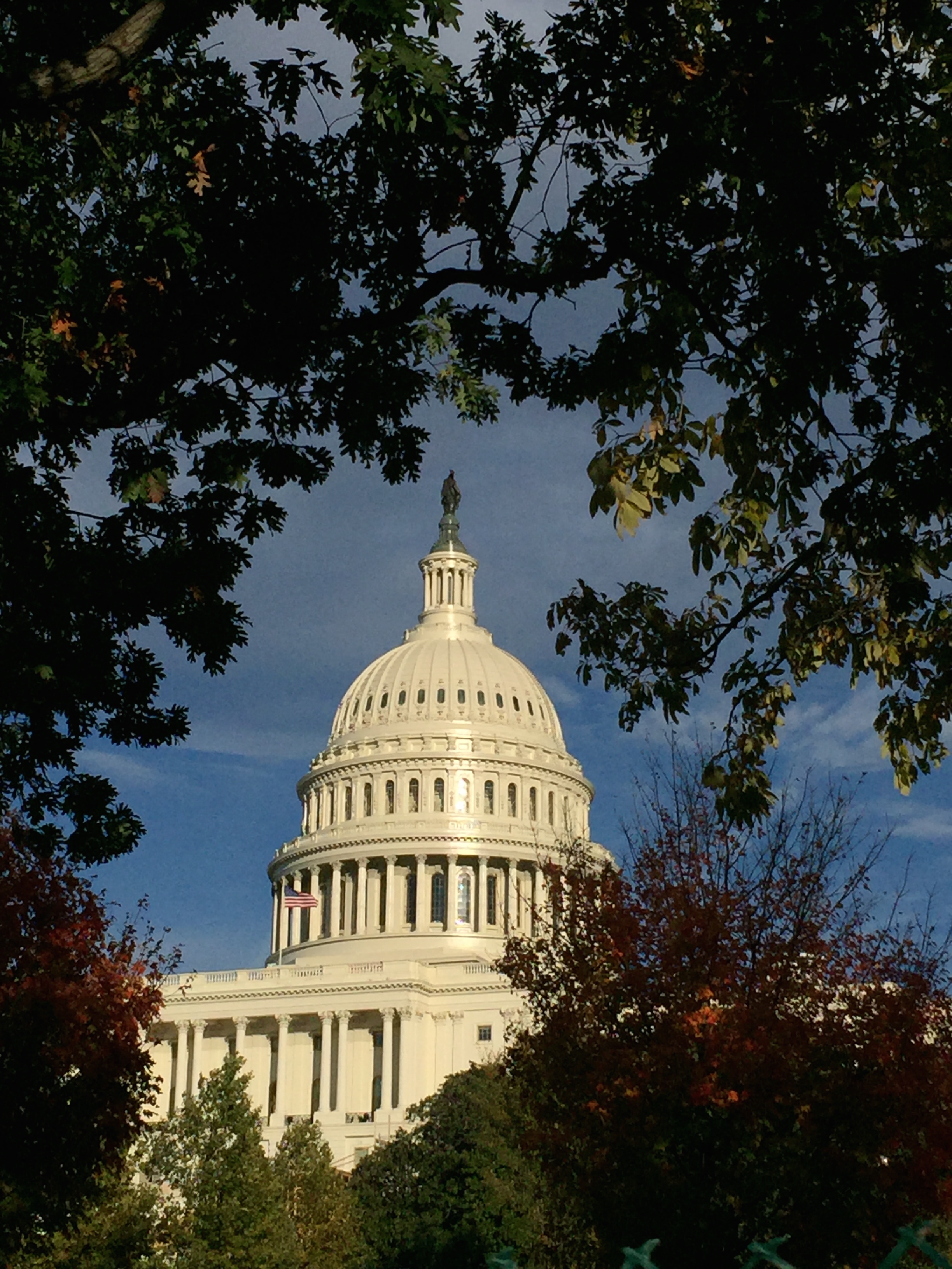 The Capital Dome is one of our students' favorite places to visit.