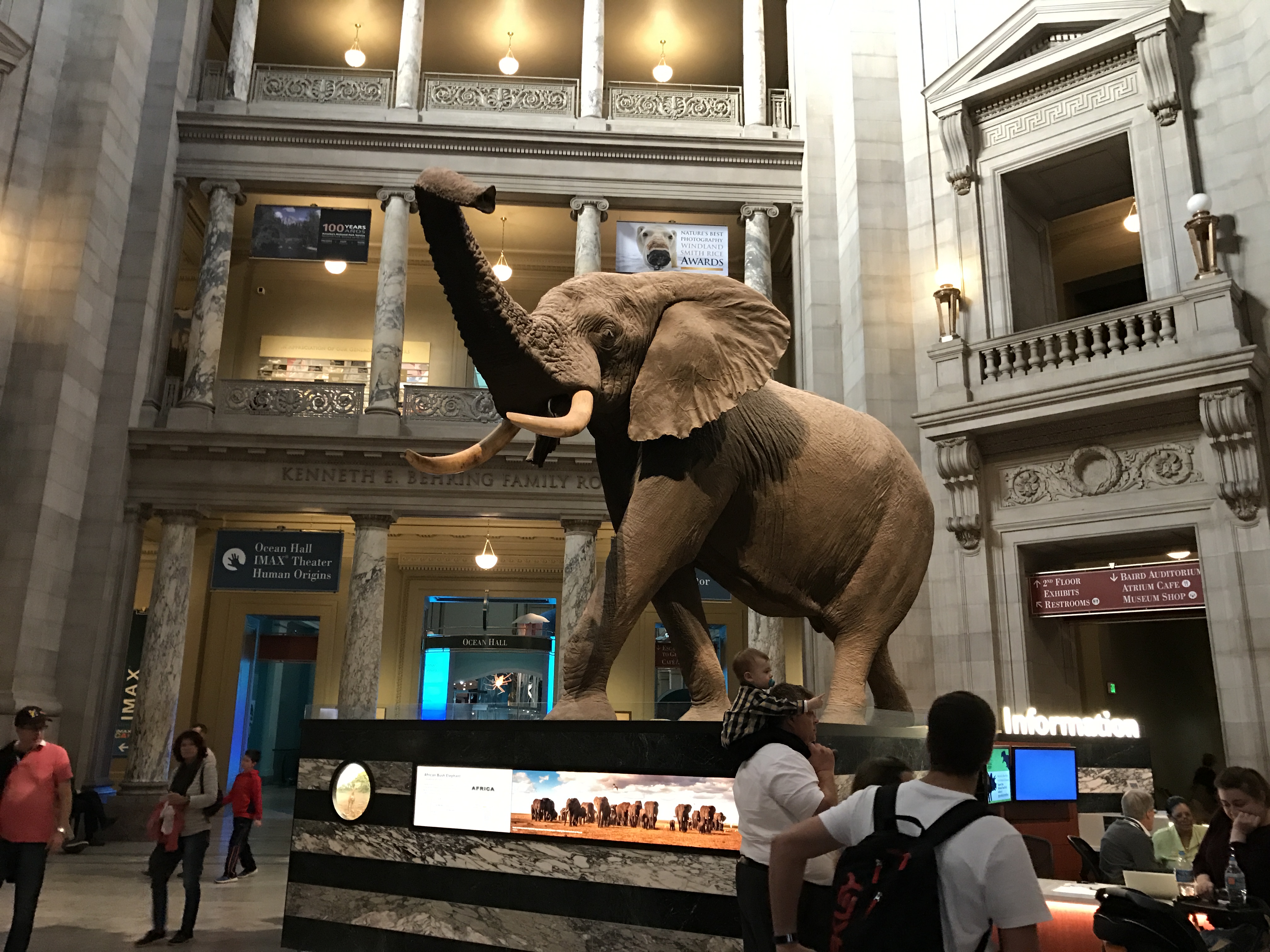 The National Museum of Natural History incorporates lessons about nature and wildlife. How interesting!