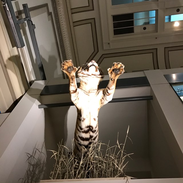 This museum visit was a once in a lifetime experience!