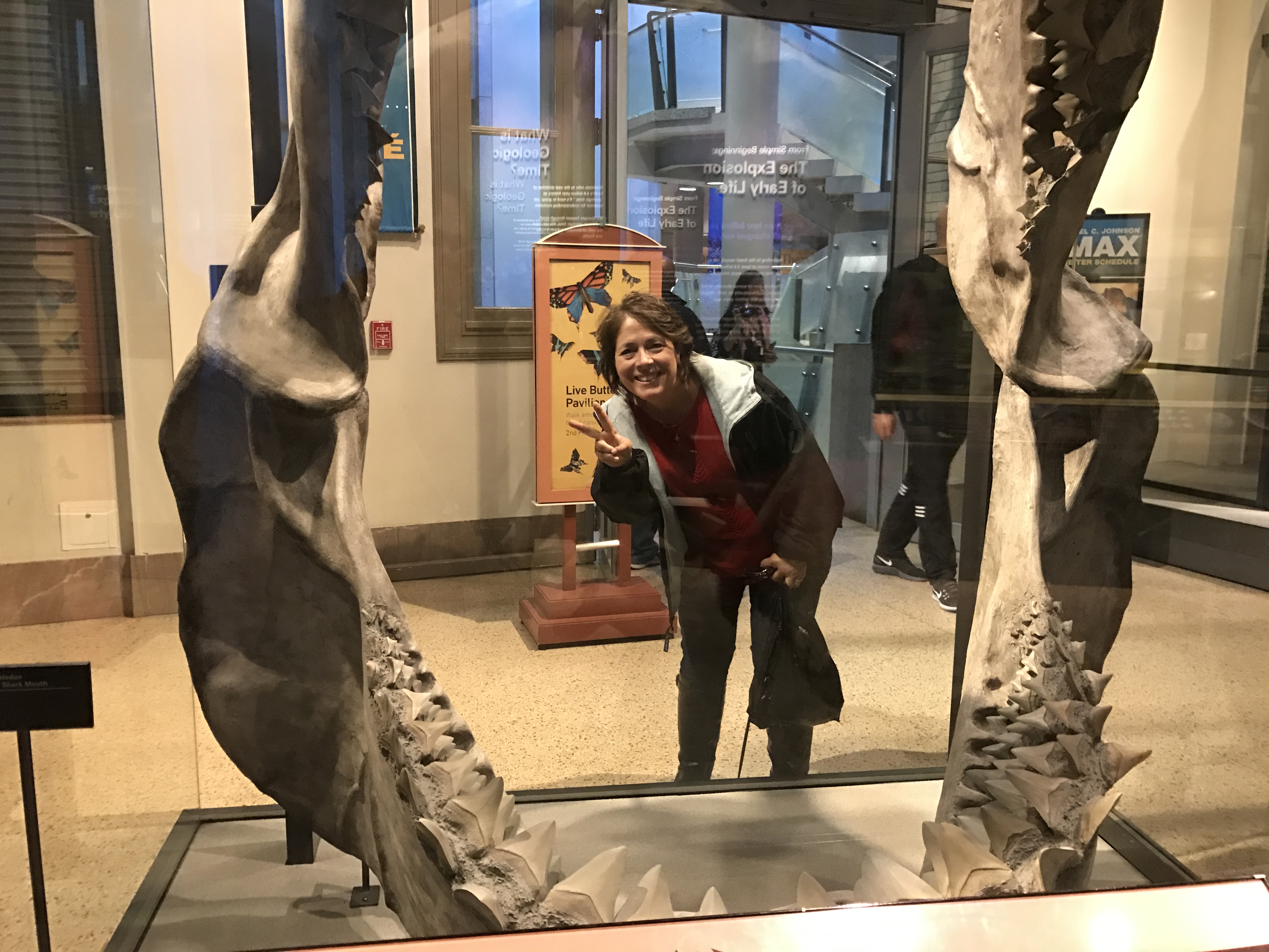 For a moment, this Cook Lion becomes part of the statue!