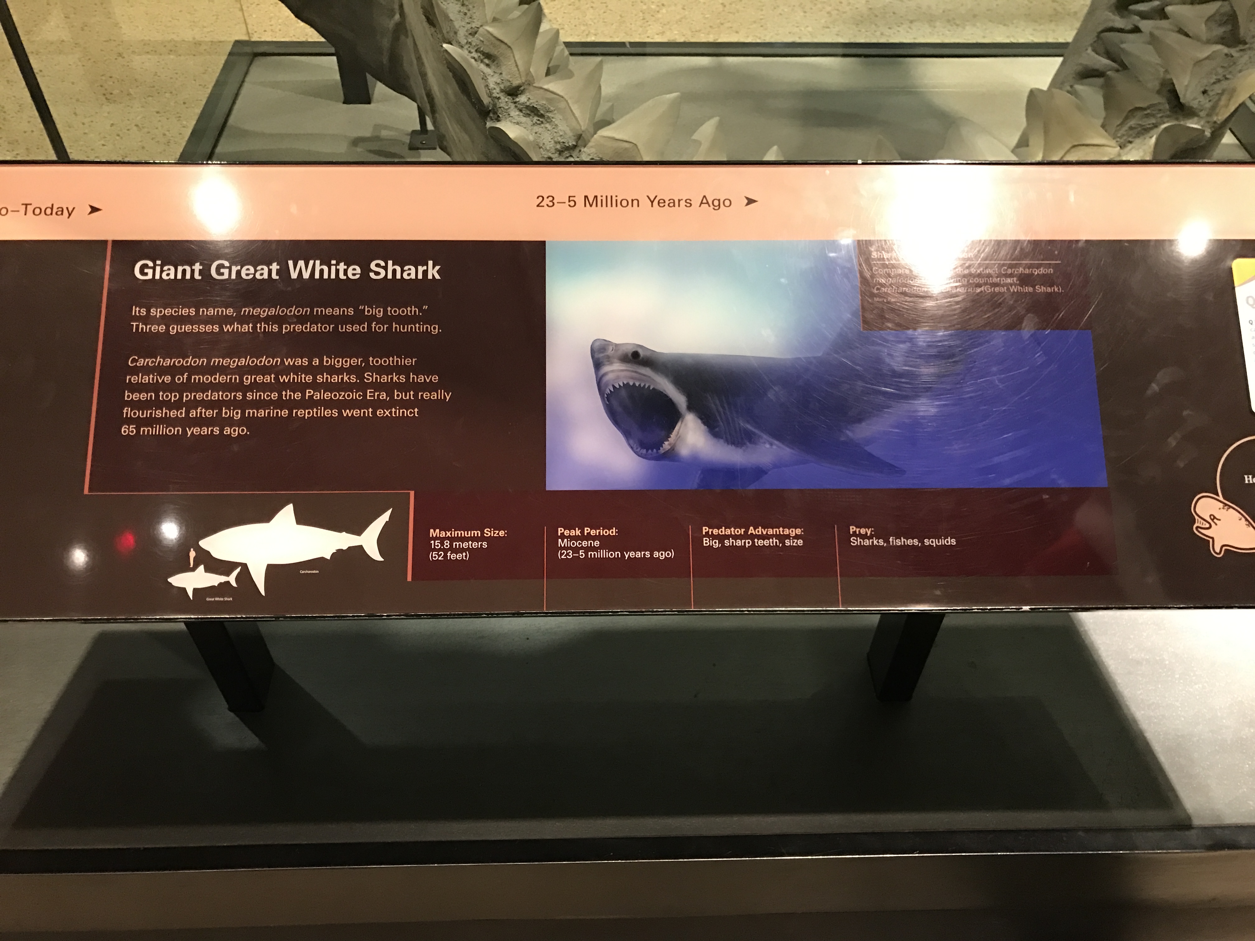 Photo of a very informative poster.