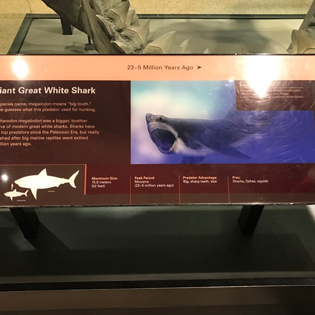 Photo of a very informative poster.