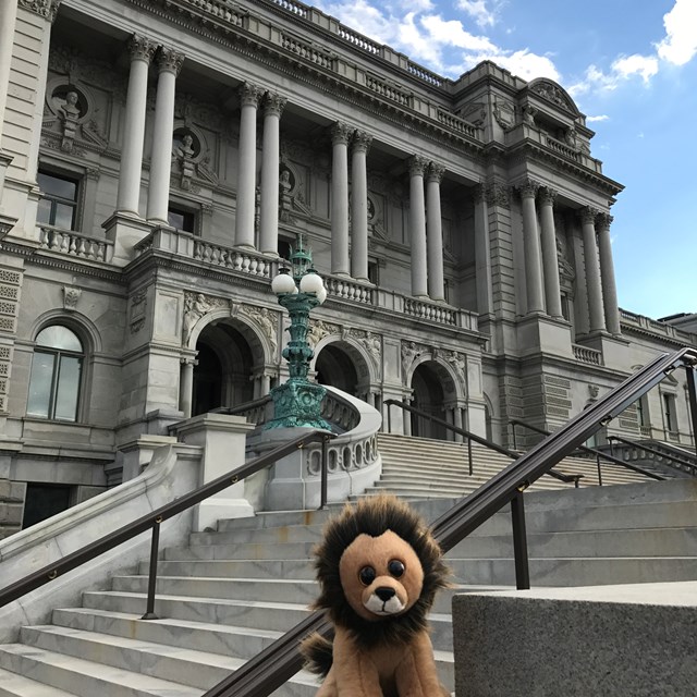 Our new little friend poses in front of this beautiful building.