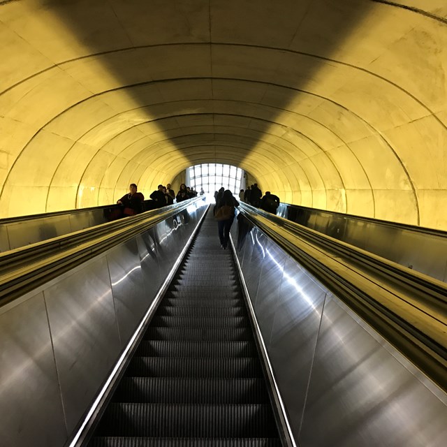 Our student's photographic skills really did show throughout the trip!