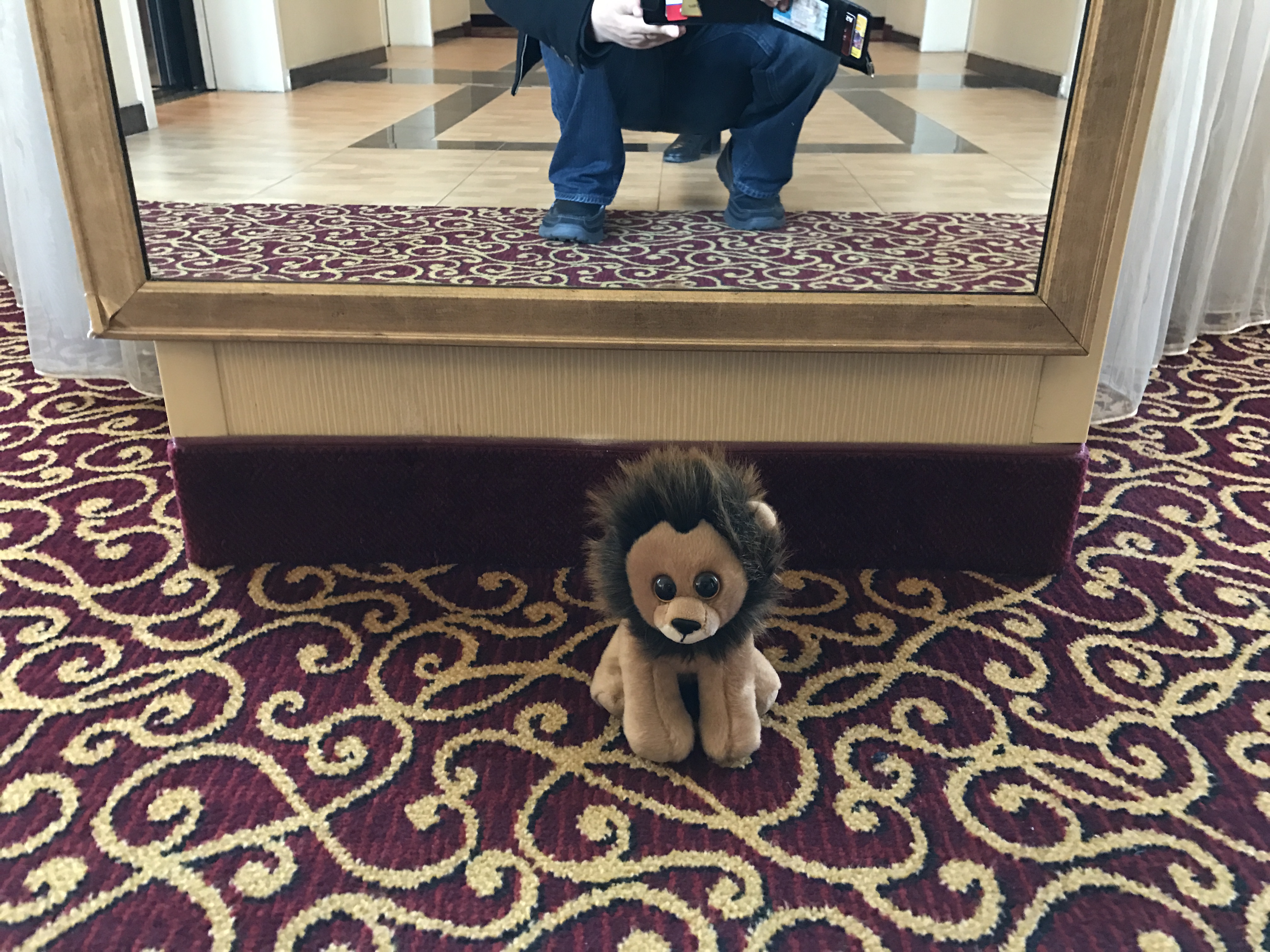 Quick photo of our plushie friend in the hotel getting ready for the activities of the day.