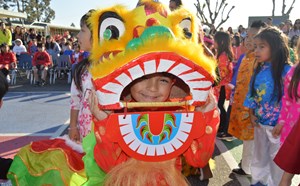 Happy Lunar New Year! - article thumnail image