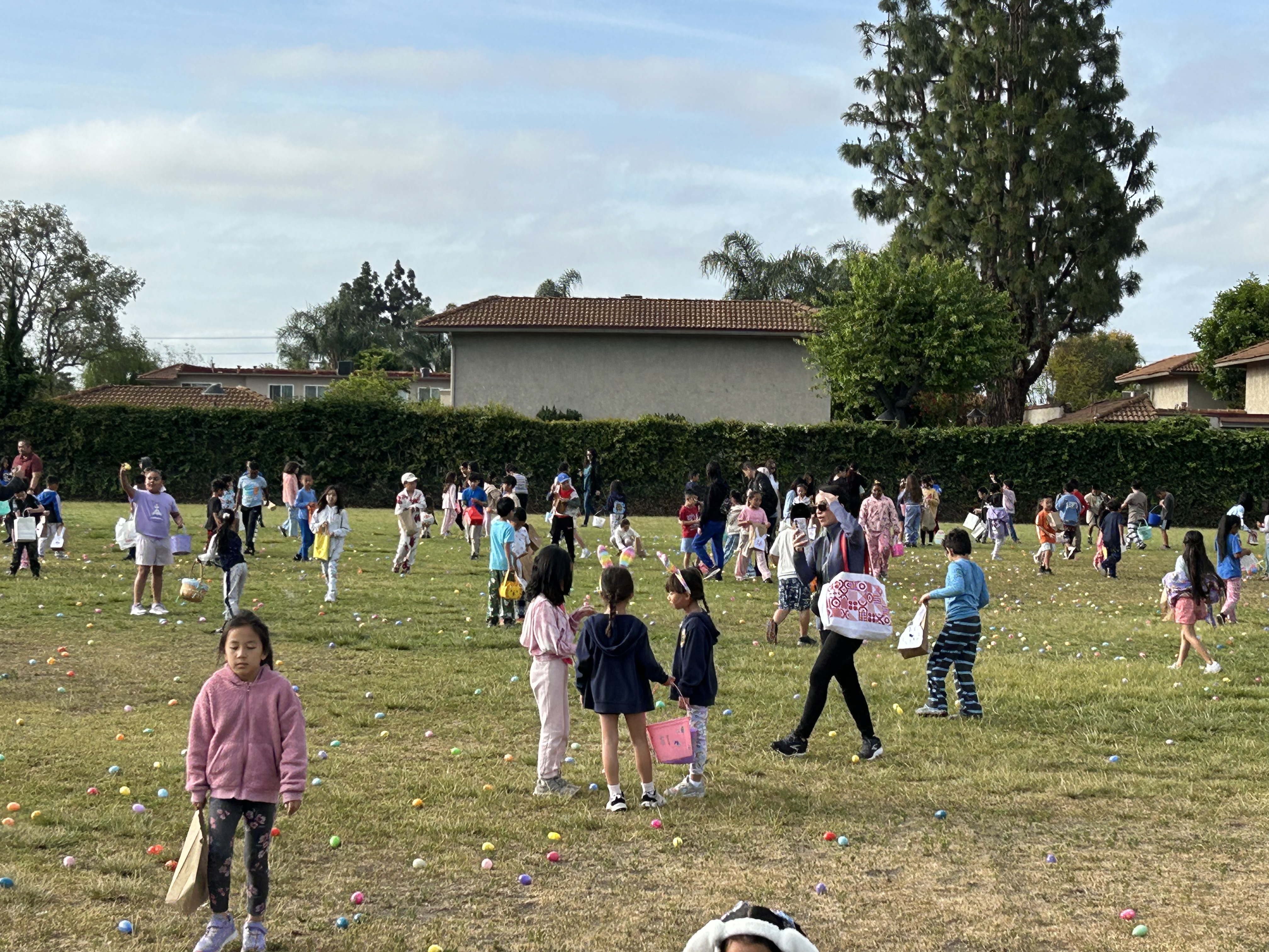 egg hunt 2